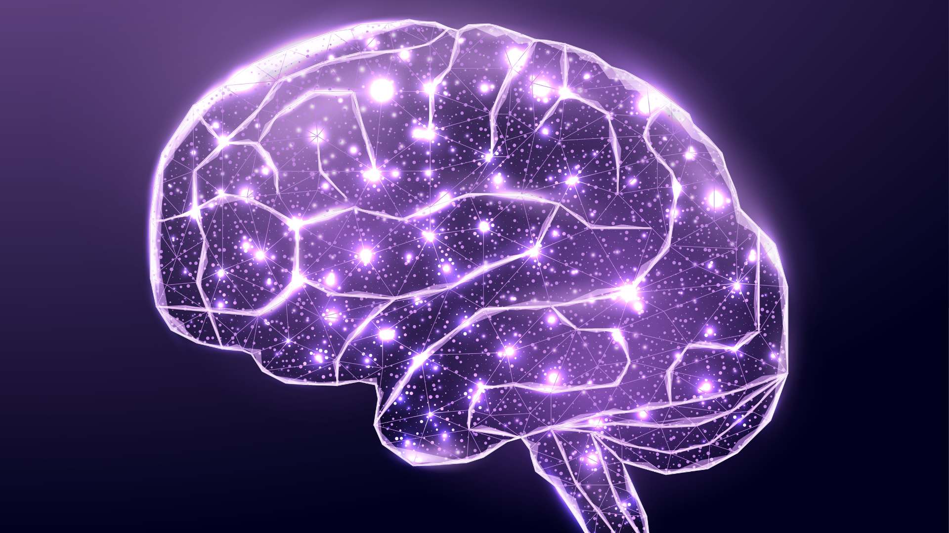 Cerveau informatique