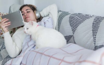 Les dernières tendances en matière de contenu multimédia